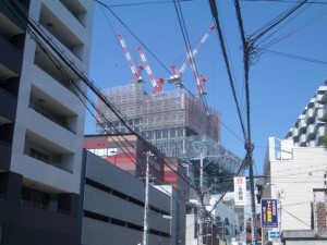 にょきにょきタイム にょきにょきタイム