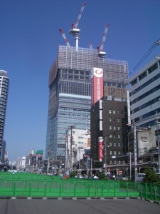 にょきにょきタイム