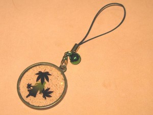 ばらかみさんの